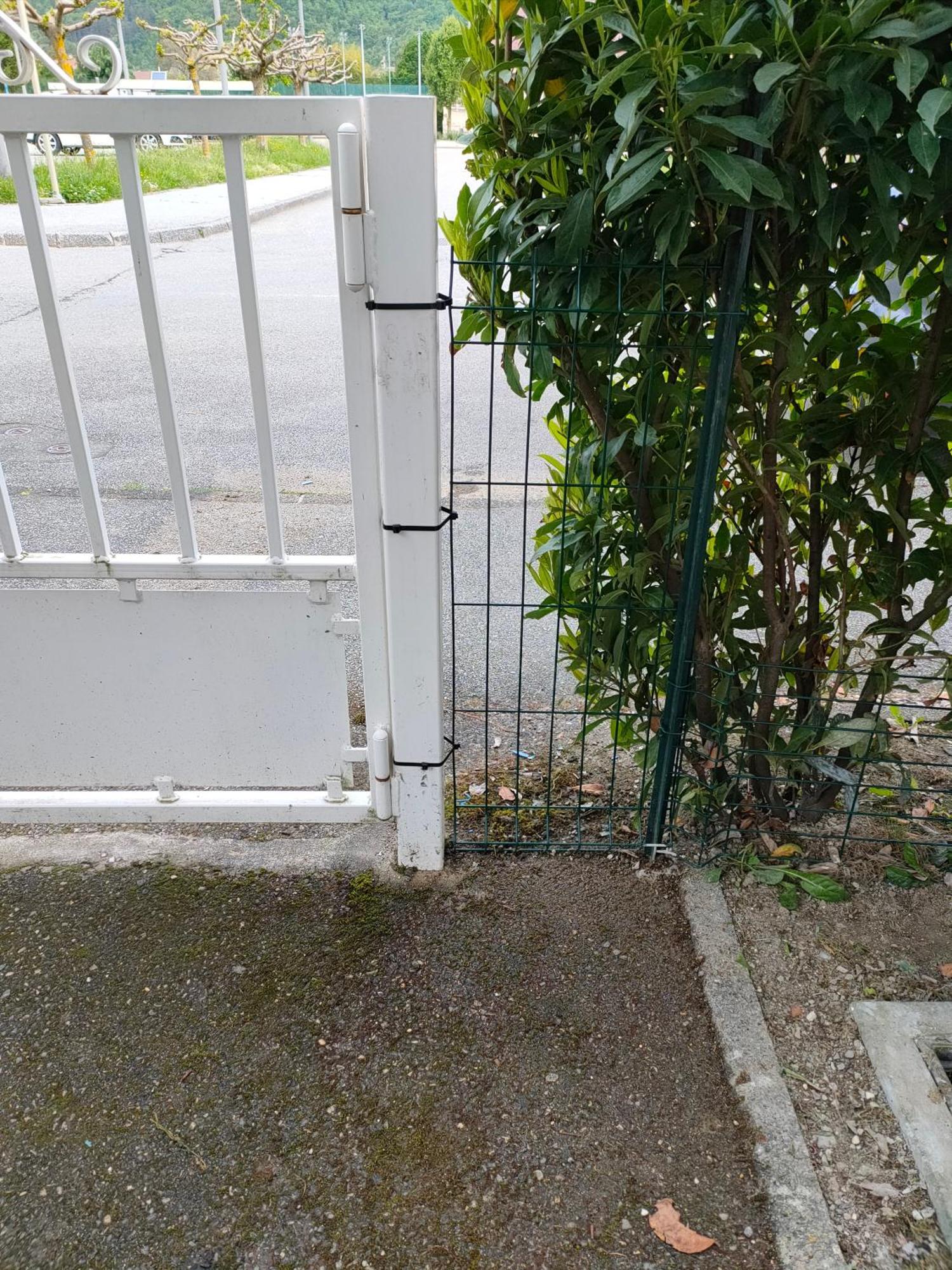 Appartement Le Nid Savoyard à Faverges Extérieur photo