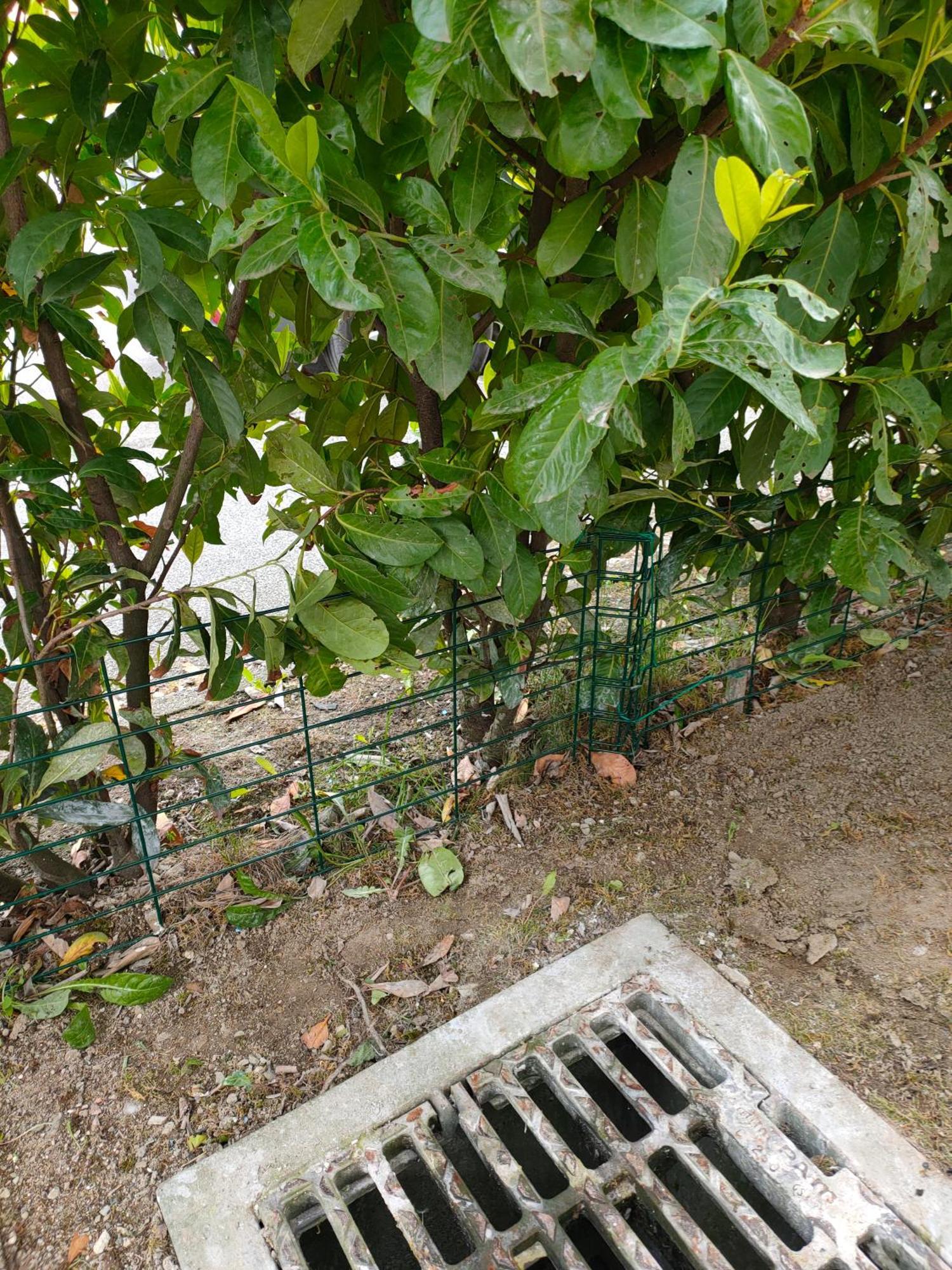 Appartement Le Nid Savoyard à Faverges Extérieur photo