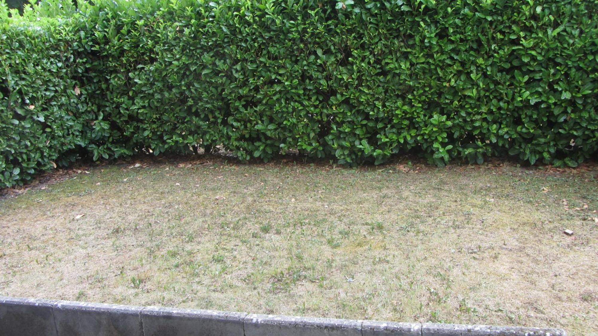 Appartement Le Nid Savoyard à Faverges Extérieur photo