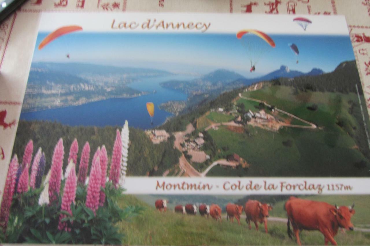 Appartement Le Nid Savoyard à Faverges Extérieur photo